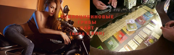 apvp Лагань