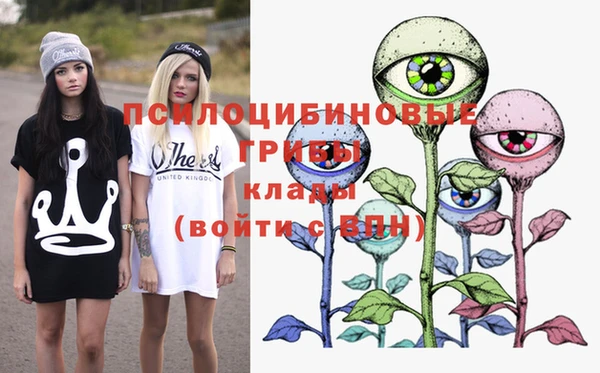 mix Вяземский