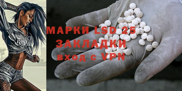 ГАЛЛЮЦИНОГЕННЫЕ ГРИБЫ Липки