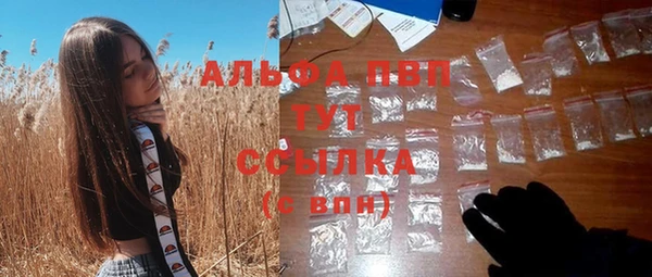 не бодяженный Ладушкин