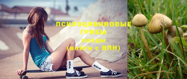 не бодяженный Ладушкин