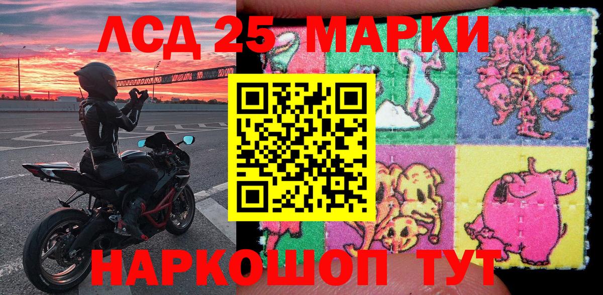 Бошки Шишки Нерюнгри