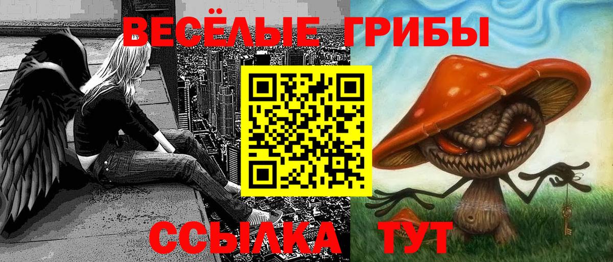 Псилоцибиновые грибы Psilocybine cubensis Нерюнгри