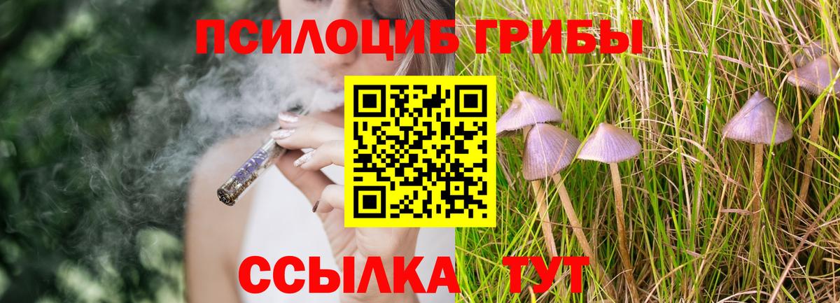 Псилоцибиновые грибы мухоморы Нерюнгри