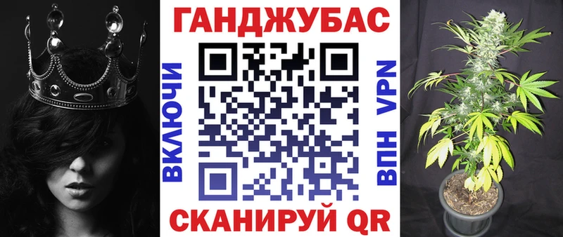 Бошки марихуана индика  Нерюнгри 